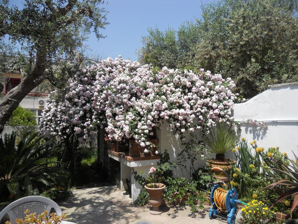 B&B La Rosa Antica Castro  Luaran gambar